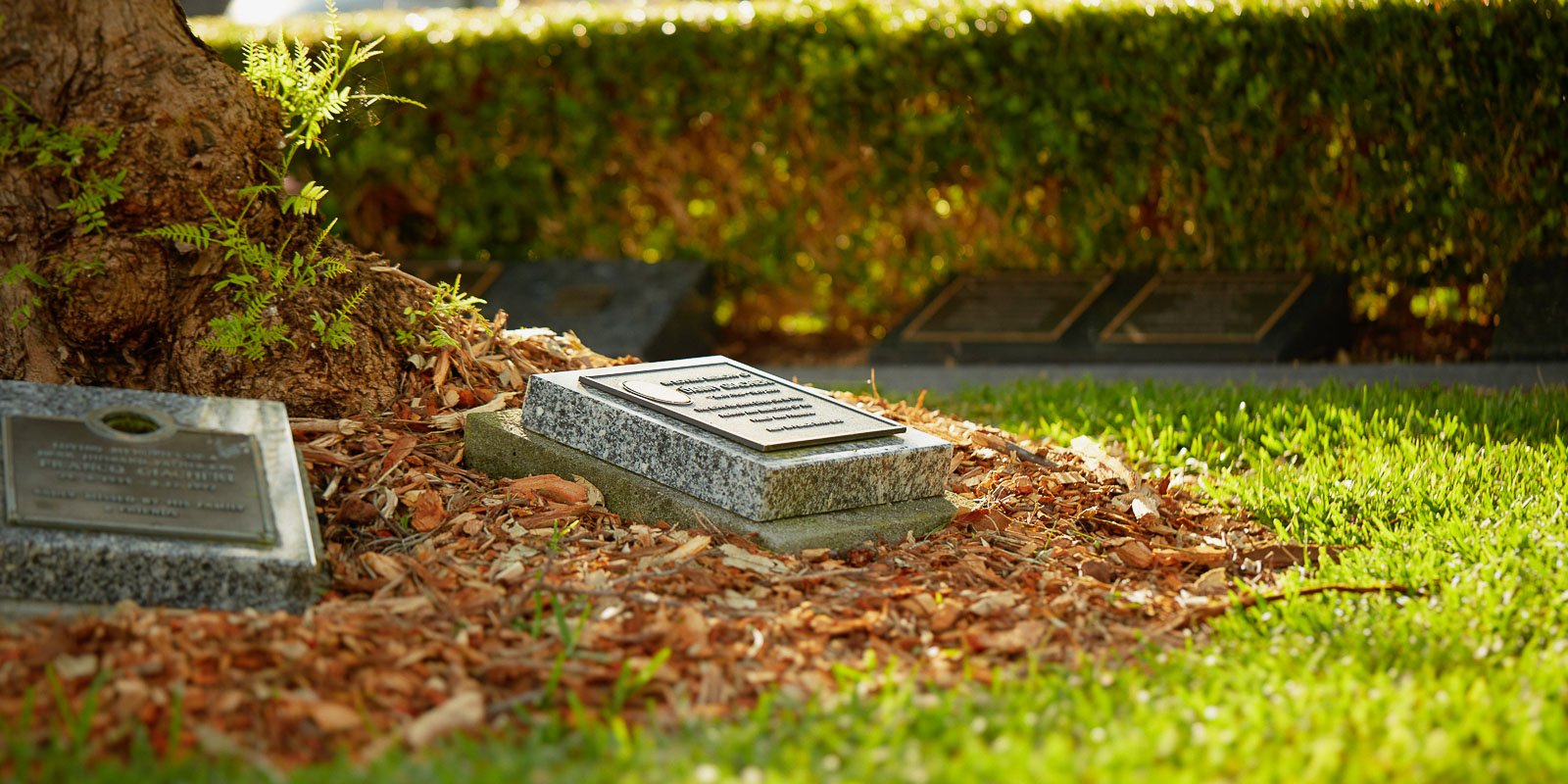 Eastern Suburbs memorial