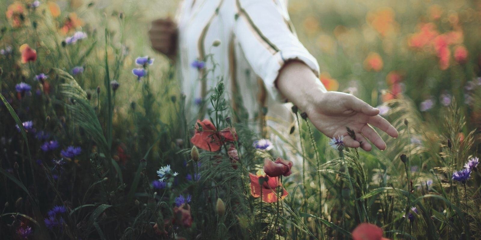A person in a white shirt touches colourful wildflowers in a sunlit field, conveying tranquility and connection with nature.