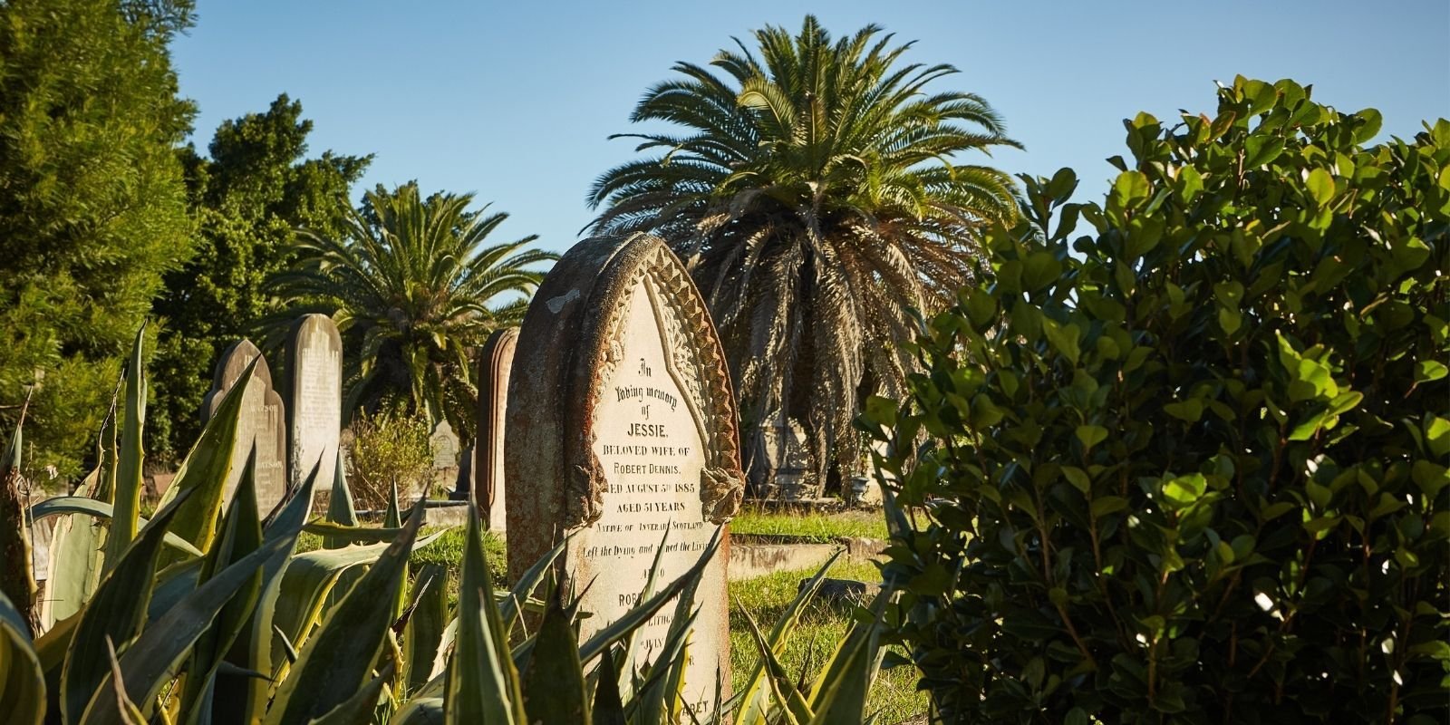 MMP-RA-BlankBanner_AUG25