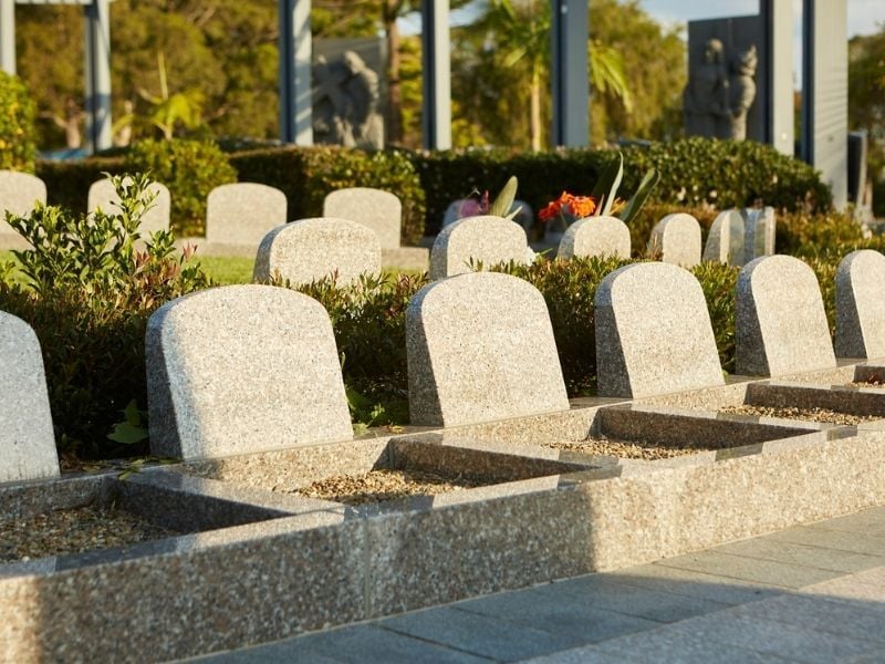 A serene cemetery scene with rows of gray ash memorials bathed in warm sunlight. Lush greenery and a few vibrant flowers add a peaceful ambiance.