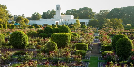 Vibrant red roses spanning across a beautiful, lush green garden at Woronora Memorial Park. In the distance is a heritage art-deco chapel.