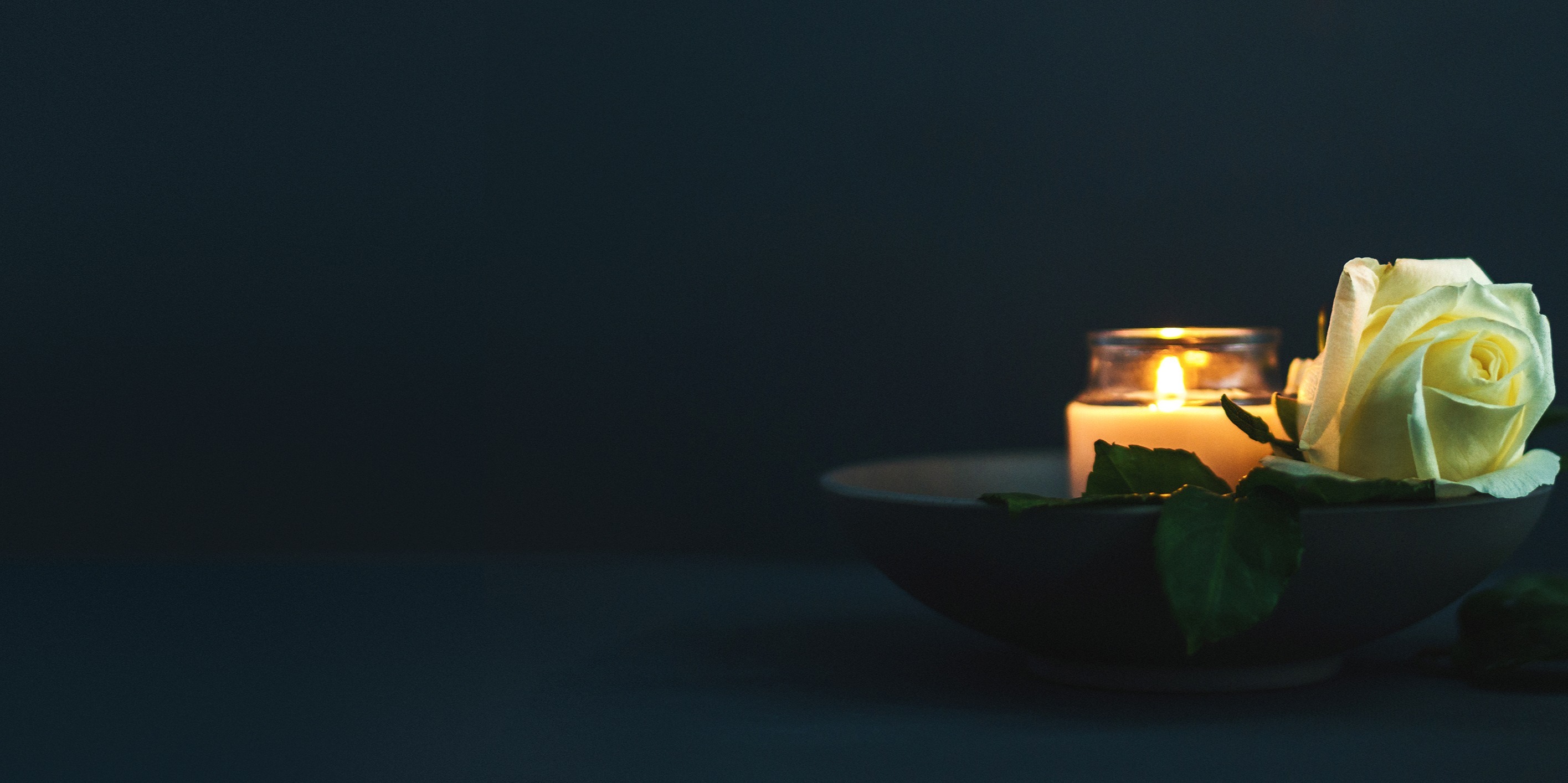 SP-Flower_Candle-2831x1414
