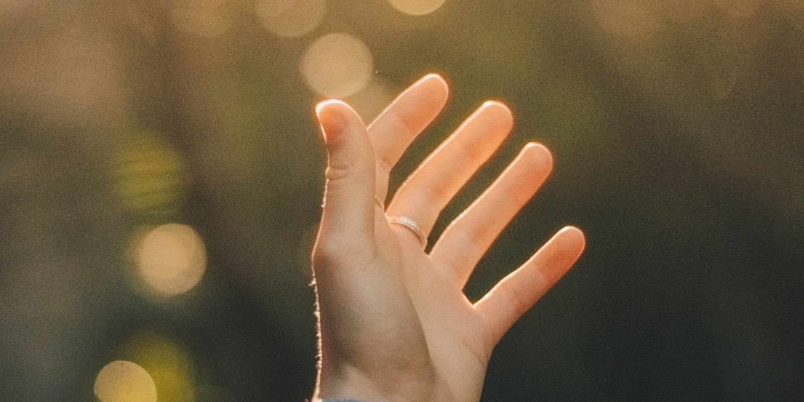 SP-Hand_reaching_out-1600x800