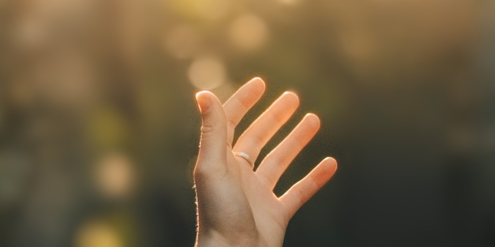 SP-Hand_reaching_out-1600x800