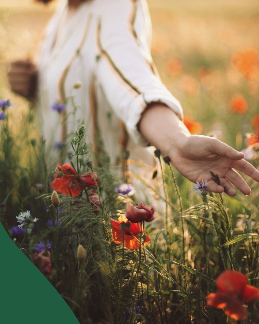 Copy of Social Media Template (INSTAGRAM) (RECTANGLE GRID) (1)