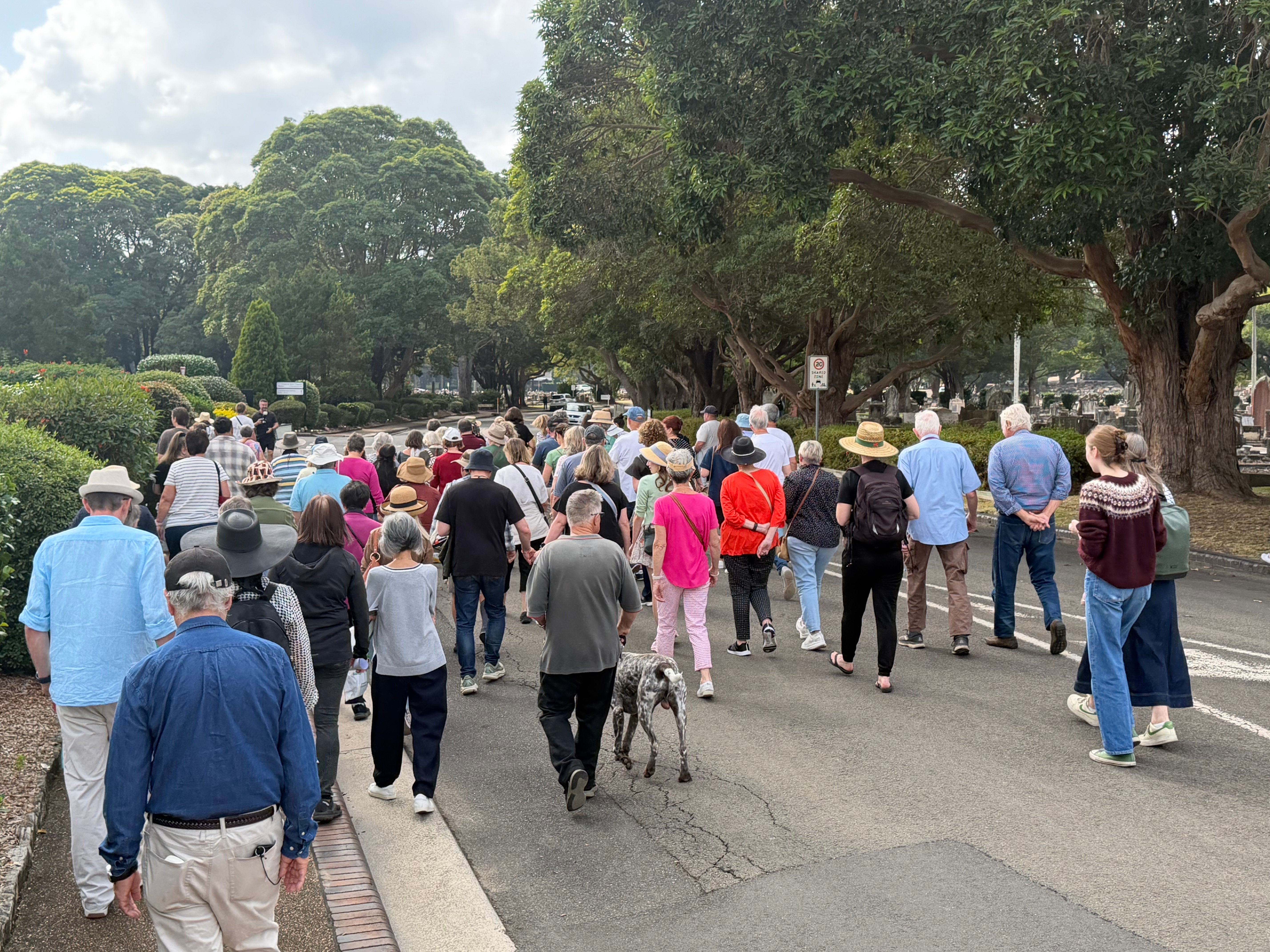 A diverse group of people, including a dog, walk along a tree-lined road under a partly cloudy sky, conveying a peaceful, communal atmosphere.