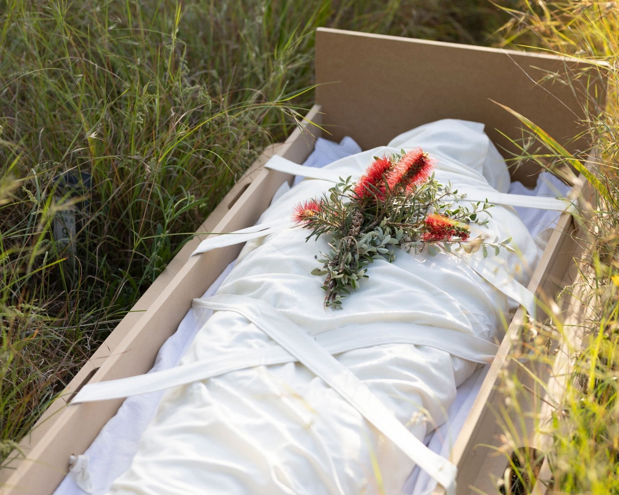 MMP-Shroud-Bearer-500x400