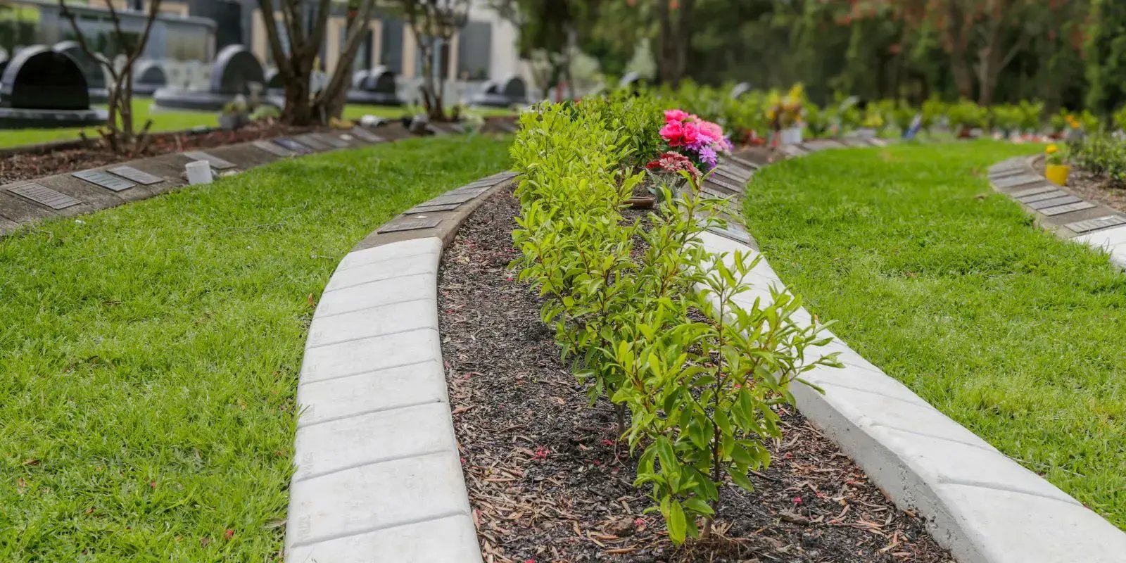 MPCC-Olive_Grove-Garden-Edge-1600x800