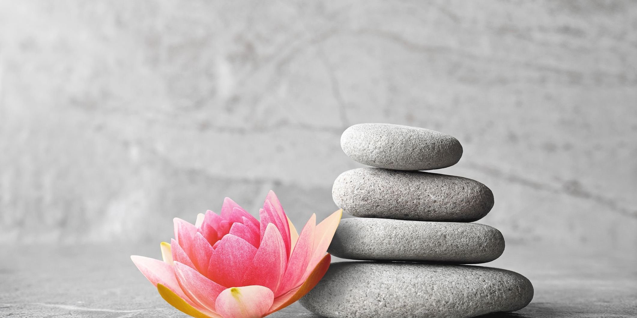 A serene image of a pink lotus flower beside a stack of smooth gray stones against a gray background. Conveys tranquility and balance.