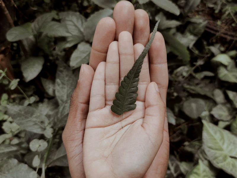 Hand-with-leaf