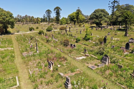 Grassy cemetery with numerous weathered tombstones, scattered wildflowers, and a backdrop of tall, leafy trees under a clear blue sky. Quiet, serene atmosphere.