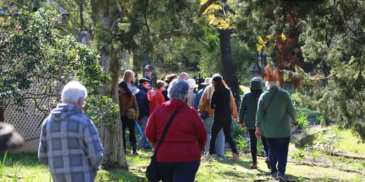 Group of visitors walking through a serene, tree-lined cemetery during a guided tour at Rookwood Cemetery