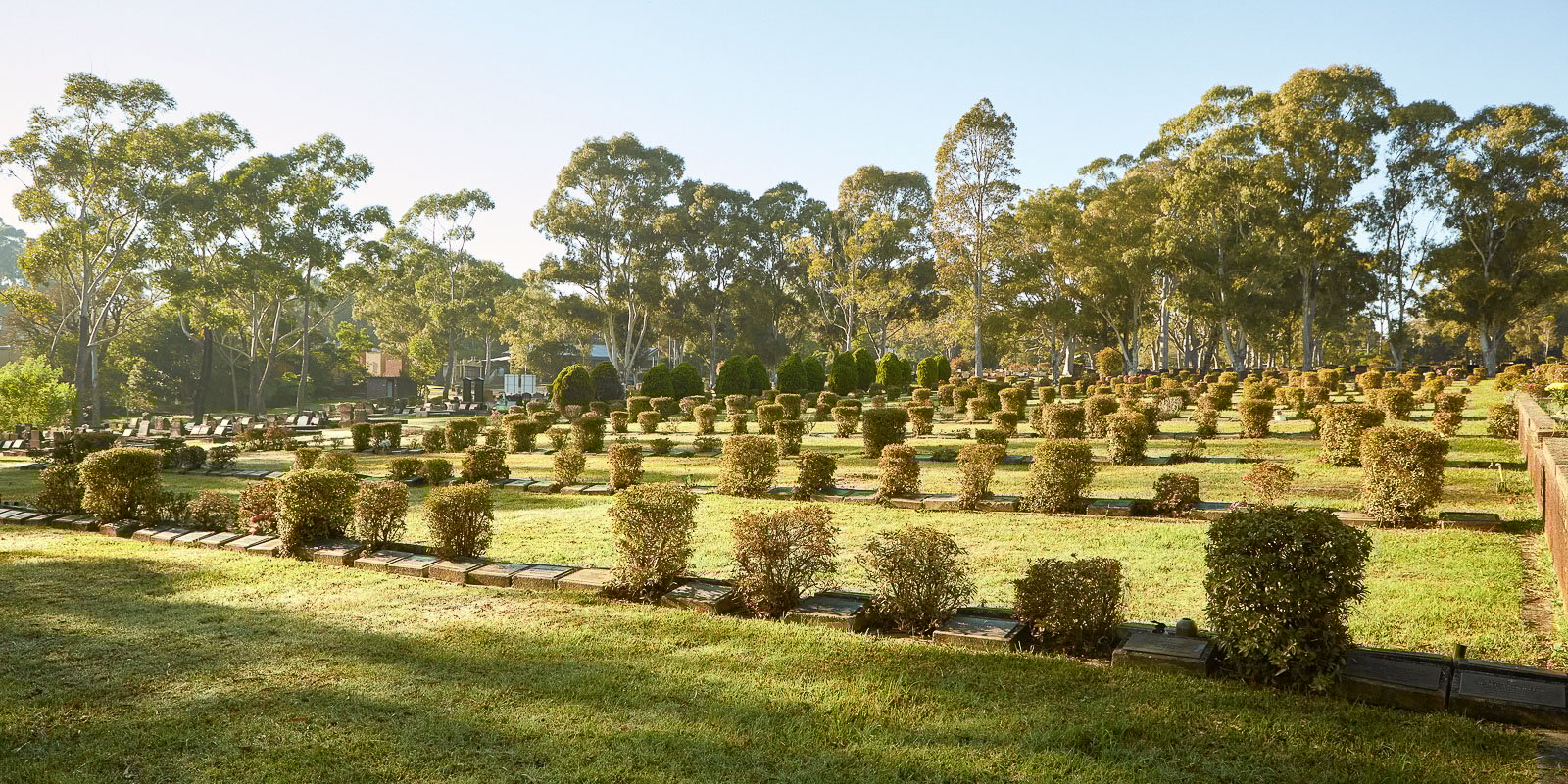 Expansive cemetery lawn with neatly trimmed bushes and headstones, surrounded by tall trees under a clear sky.