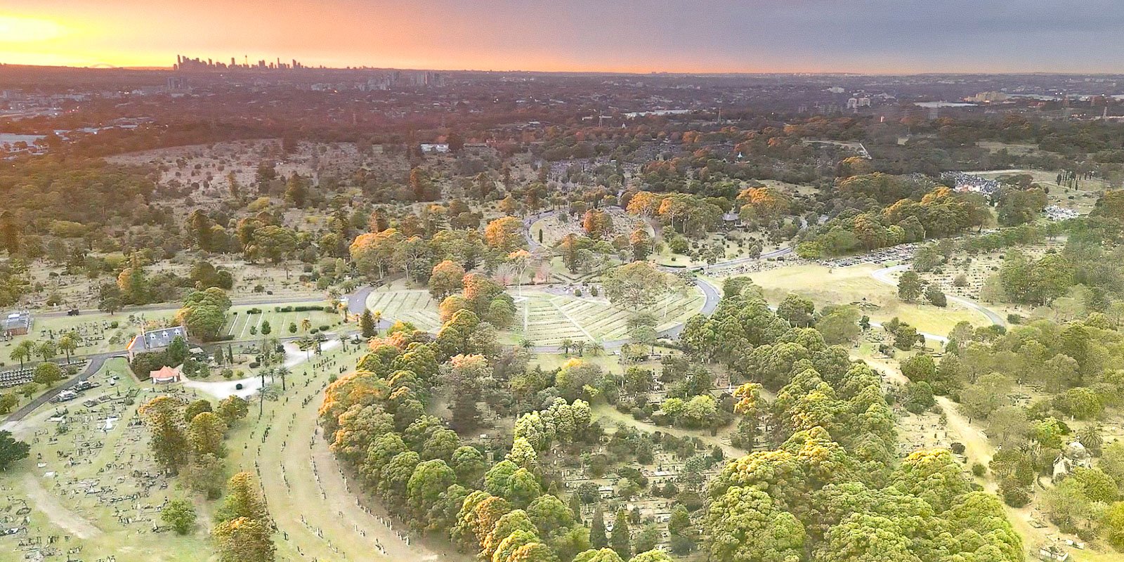 Aerial view of a Rookwood General Cemetery and Crematorium with lush green trees and winding pathways, set against a city skyline at sunset.