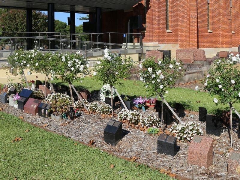 Chapel Rose Garden RGC