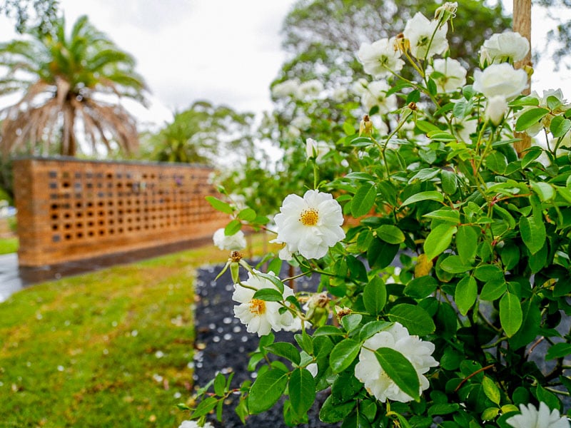Harmony Rose Garden RGC