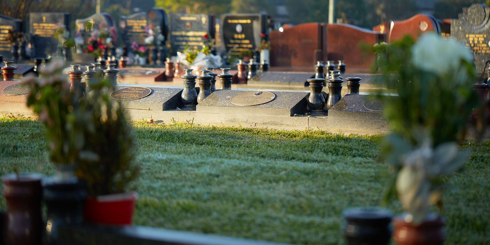 Morning light over rows of memorial plaques in a lawn monumental burial section, with trees in the background.