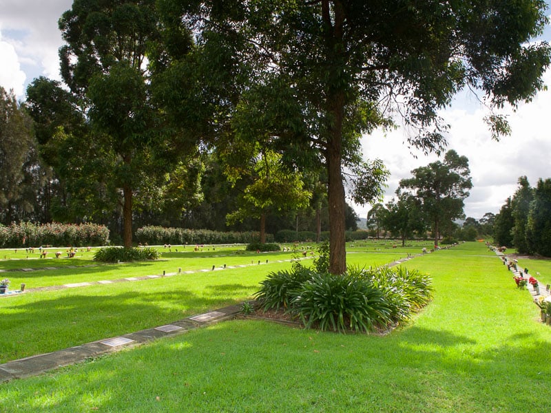 MMP-Lawn