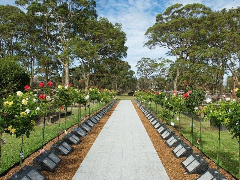 pathway of roses ffbc