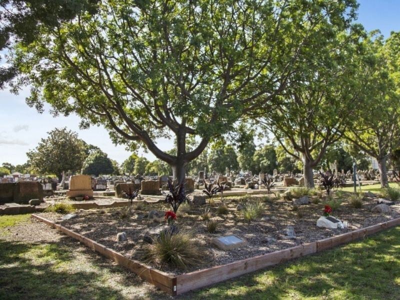 tanika ash garden sandgate sgc