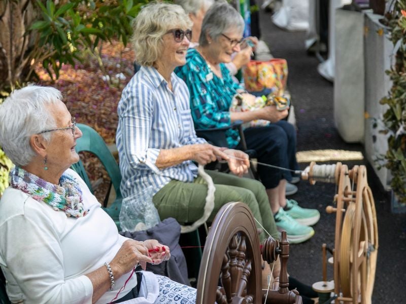 A group of women, seated outdoors, are spinning yarn on wooden spinning wheels. The scene is lively and cheerful, with vibrant clothing and greenery.