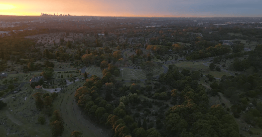 Aerial view of a sprawling cemetery at dusk, with rows of trees and tombstones. The skyline is illuminated in the background by a setting sun.