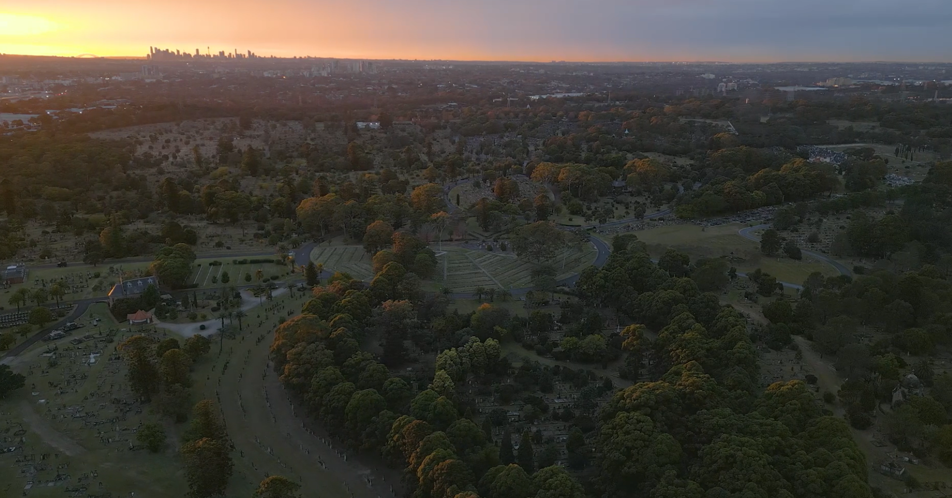 Aerial view of a sprawling cemetery at dusk, with rows of trees and tombstones. The skyline is illuminated in the background by a setting sun.