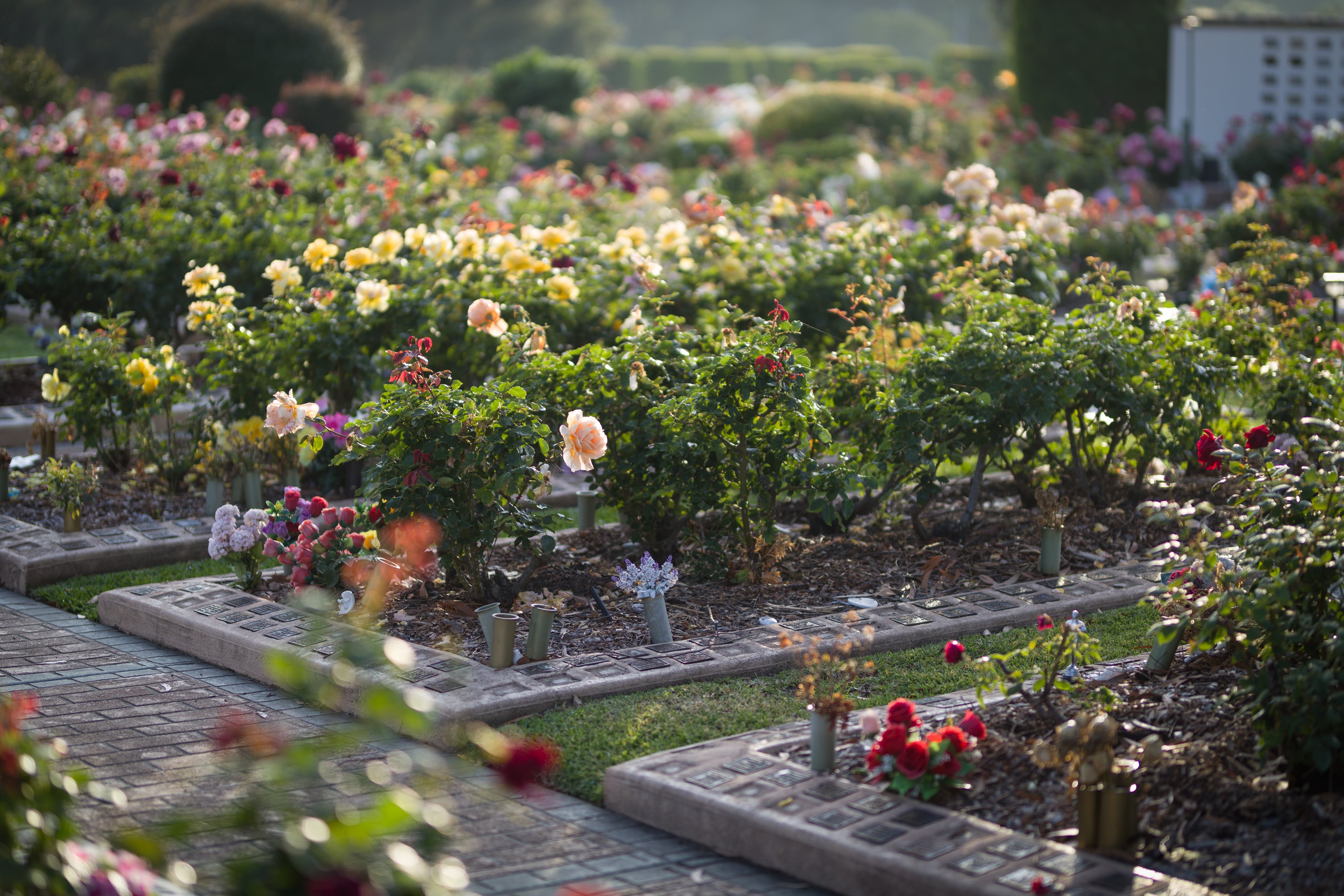 Memorial flowers