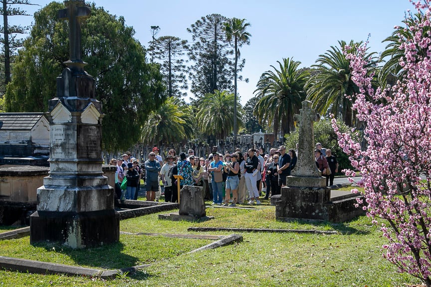 Visitors gather among historic gravestones at a sunny cemetery, framed by palm trees and pink blossoms, creating a lively yet reflective scene.