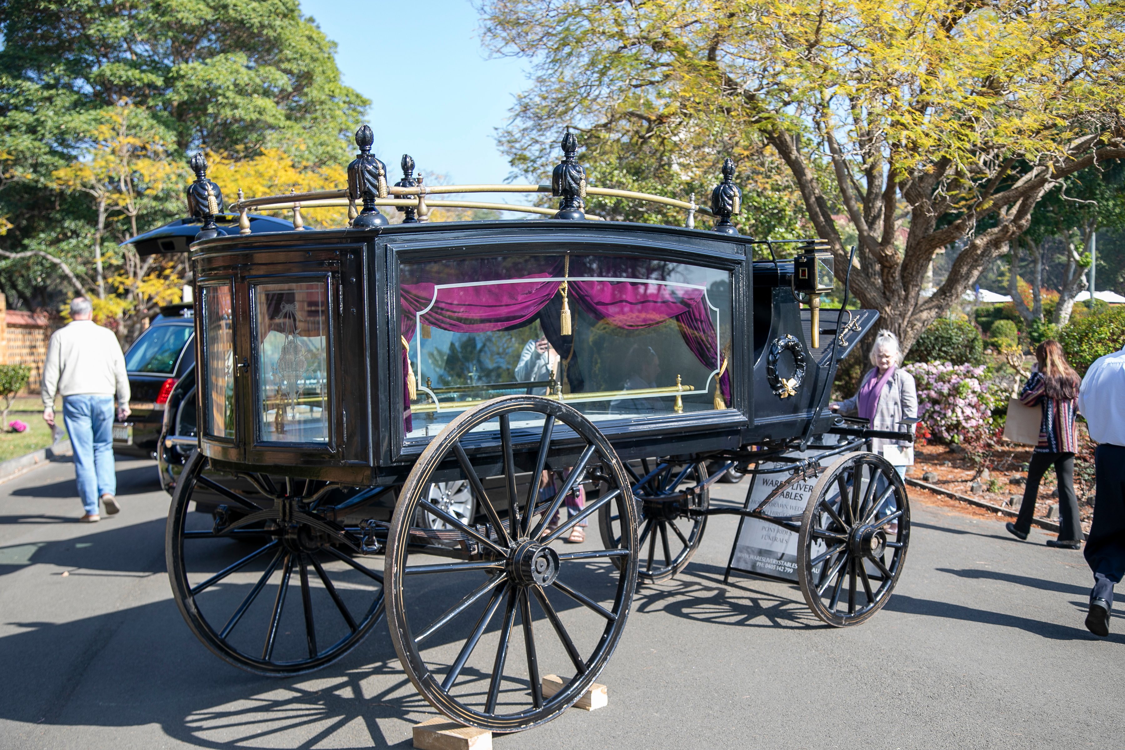 An ornate black horse-drawn hearse with large spoked wheels, glass panels, and magenta curtains stands in a sunny park as visitors look on.