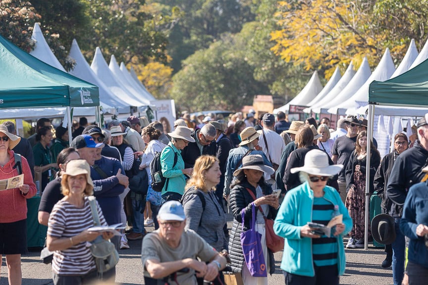 A bustling outdoor event lines a sunlit path with white and green vendor tents. Shoppers browse and chat beneath autumn trees, creating a lively, welcoming mood.